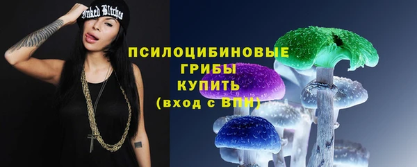 mdpv Белокуриха