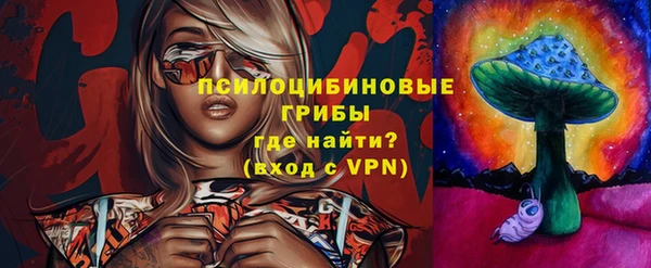mdpv Белокуриха