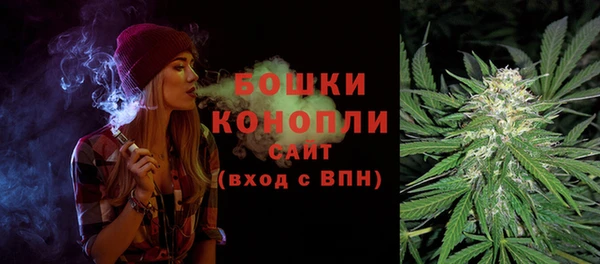 mdpv Белокуриха