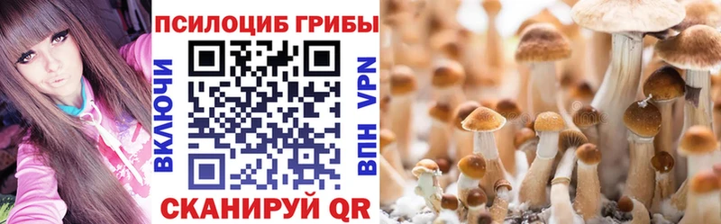 купить наркотик Невель Галлюциногенные грибы Cubensis